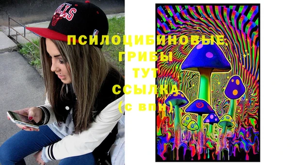 таблы Заводоуковск