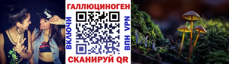 Галлюциногенные грибы Magic Shrooms блэк спрут ссылки Каргополь купить закладку
